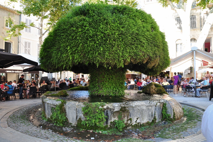 Jardins D Ici Salon-de-Provence