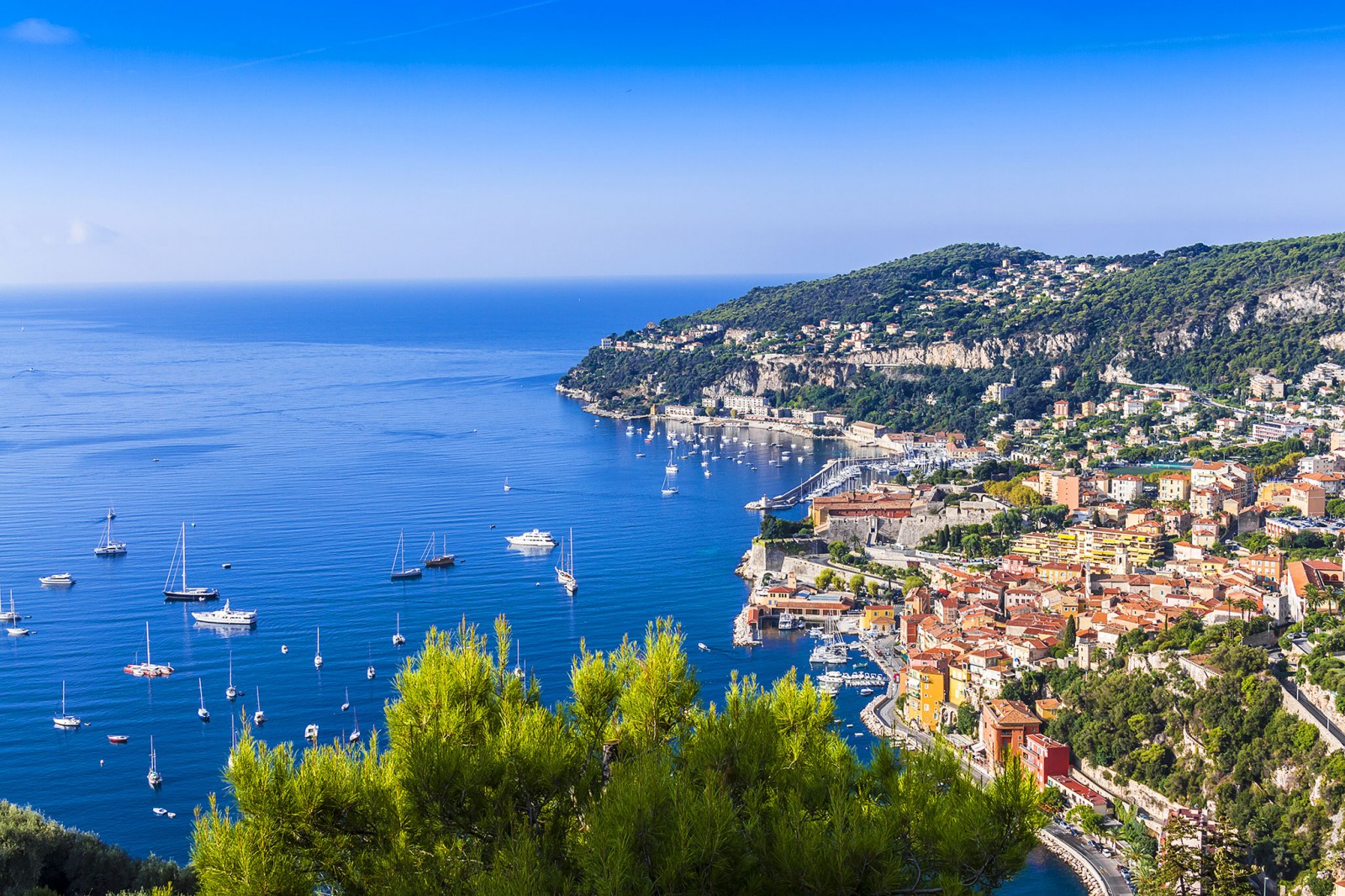 SASU Élagage et Paysage d'Azur Nice